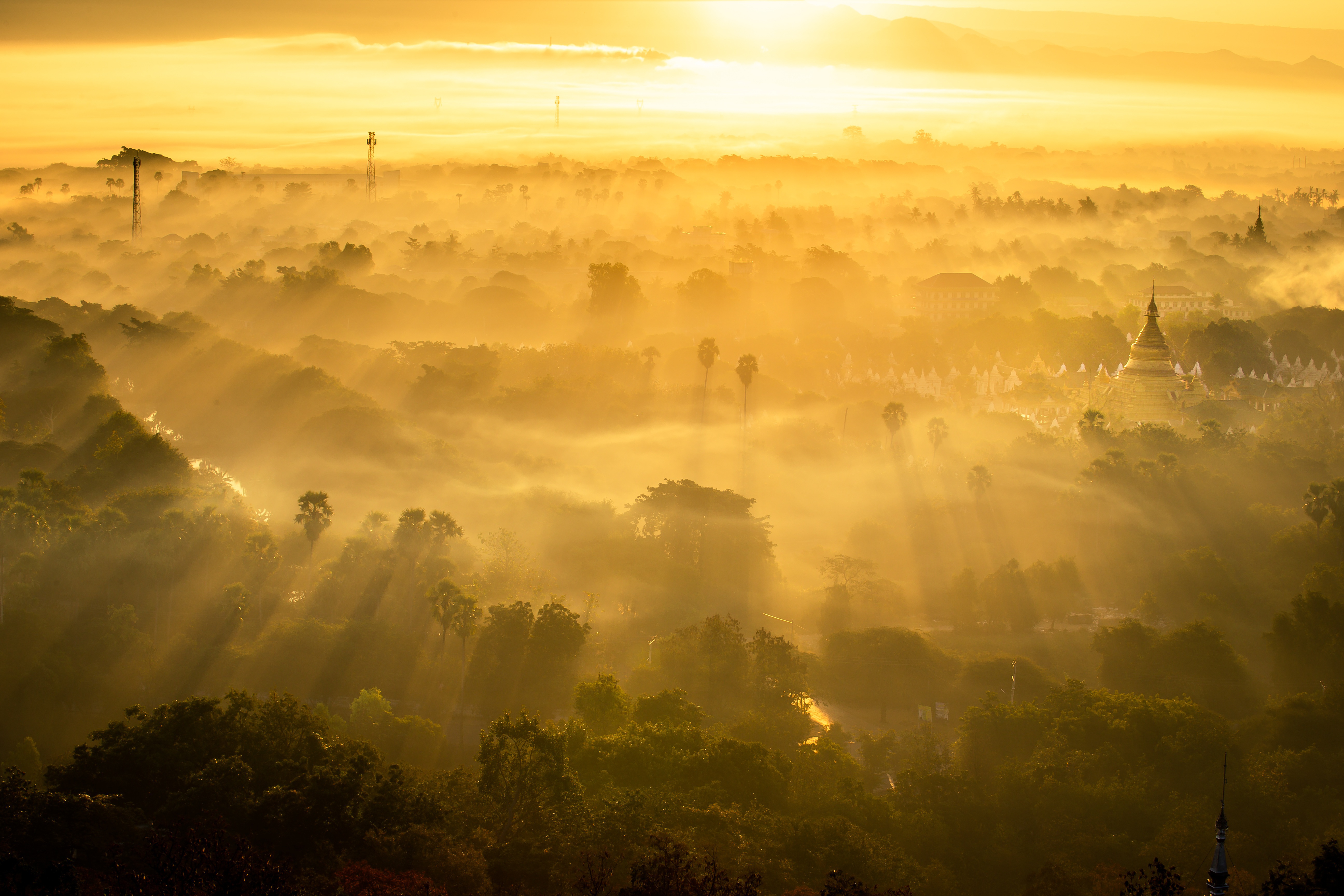 Zenydis Morning Zen - Goldener Sonnenaufgang für natürliche Energie
